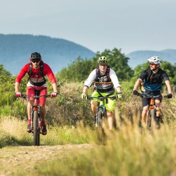 activite-vtt-electrique-2