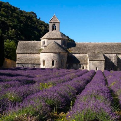 seminaire-avignon-culture