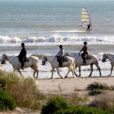 seminaire-camargue-balade-cheval